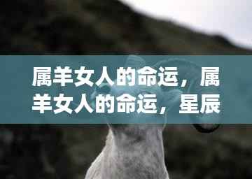 属羊女人的命运，星辰指引下的独特人生轨迹探索