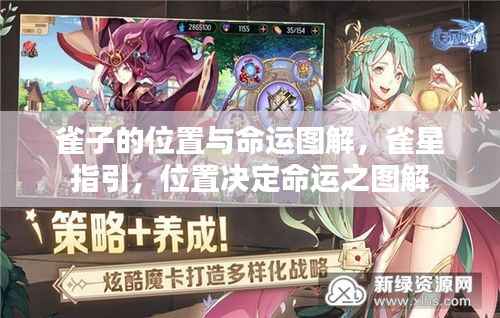 雀星指引,位置与命运之谜图解