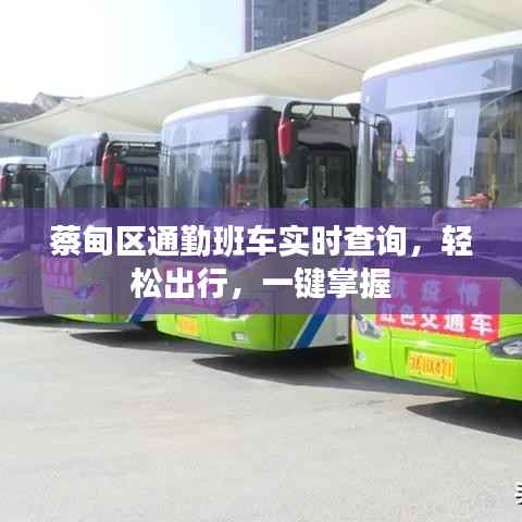 蔡甸区通勤班车实时查询,轻松出行,一键掌握