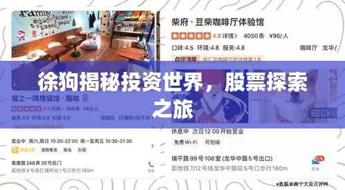 徐狗揭秘投资世界,股票探索之旅