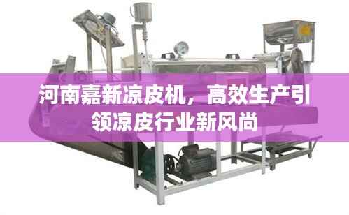河南嘉新凉皮机,高效生产引领凉皮行业新风尚