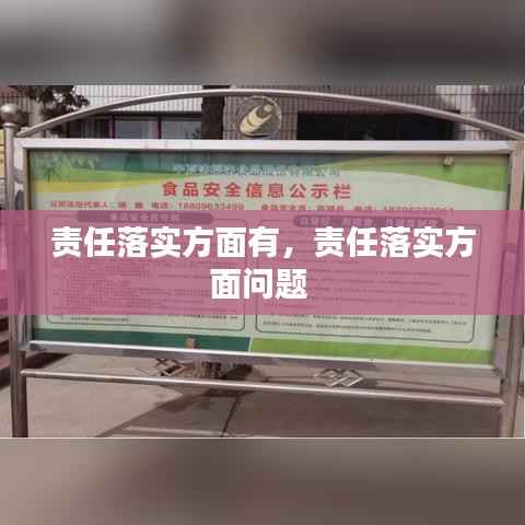 责任落实方面有,责任落实方面问题