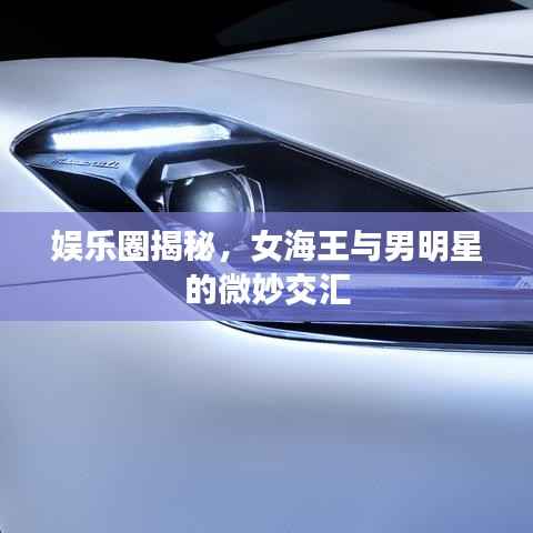 娱乐圈揭秘,女海王与男明星的微妙交汇