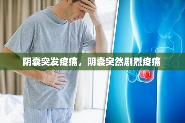 阴囊突发疼痛,阴囊突然剧烈疼痛