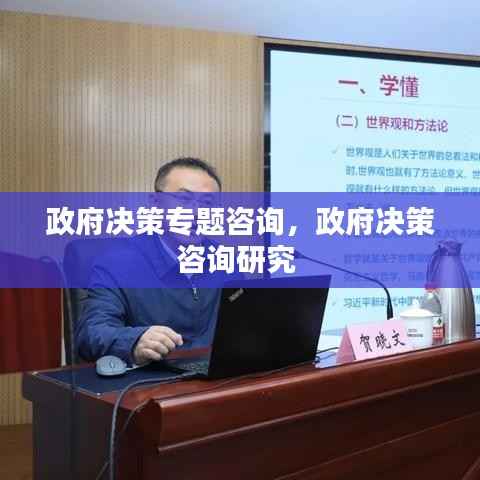 政府决策专题咨询,政府决策咨询研究
