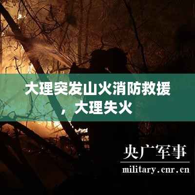 大理突发山火消防救援,大理失火