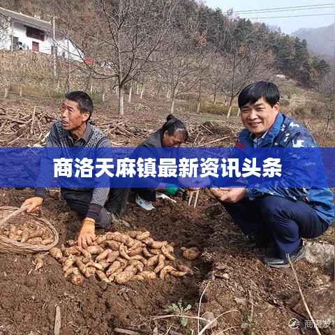 天潢贵胄 第3页