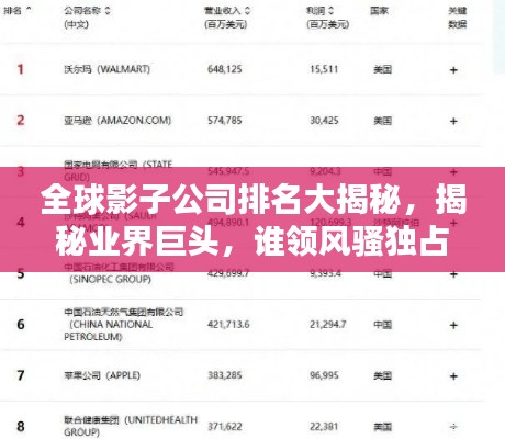 全球影子公司排名大揭秘,揭秘业界巨头,谁领风骚独占鳌头?