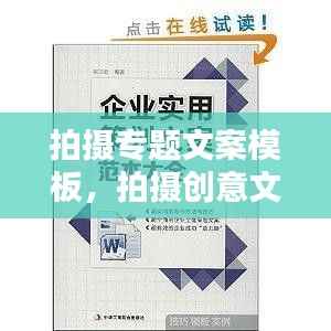 百不得一 第3页