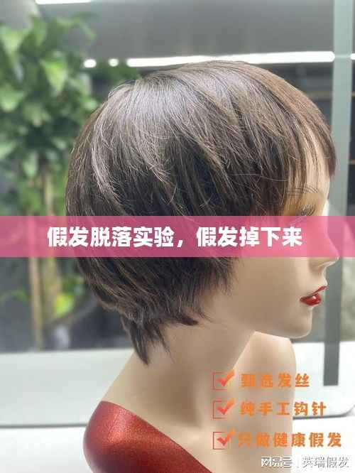 假发脱落实验,假发掉下来