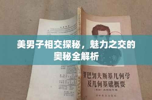 美男子相交探秘,魅力之交的奥秘全解析
