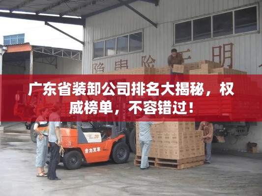 广东省装卸公司排名大揭秘,权威榜单,不容错过!
