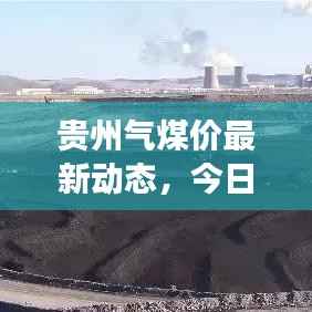 贵州气煤价最新动态,今日市场走势及影响因素深度解析