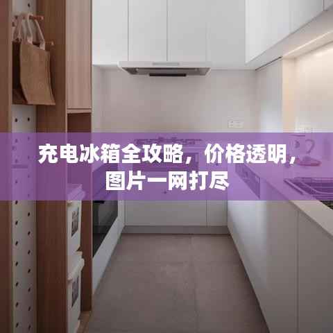 充电冰箱全攻略,价格透明,图片一网打尽