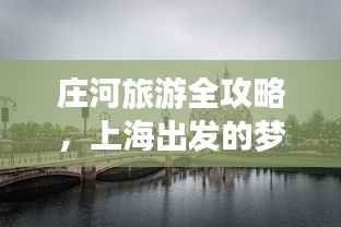 手不释卷 第3页