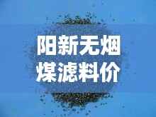 阳新无烟煤滤料价格行情深度解析