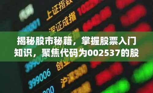 揭秘股市秘籍,掌握股票入门知识,聚焦代码为002537的股票