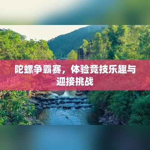 陀螺争霸赛,体验竞技乐趣与迎接挑战