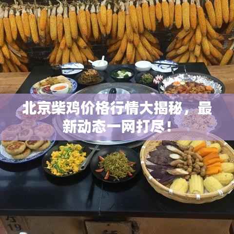 北京柴鸡价格行情大揭秘,最新动态一网打尽!