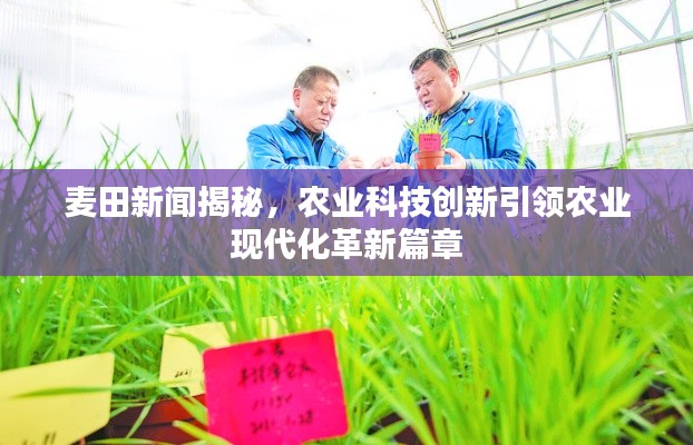麦田新闻揭秘,农业科技创新引领农业现代化革新篇章