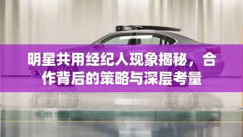 明星共用经纪人现象揭秘,合作背后的策略与深层考量