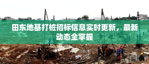 田东地基打桩招标信息实时更新,最新动态全掌握