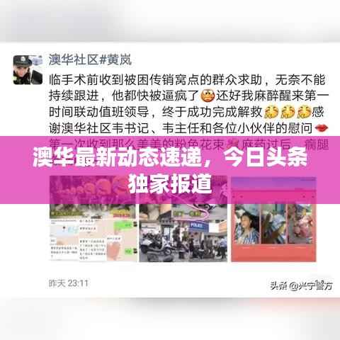 澳华最新动态速递,今日头条独家报道