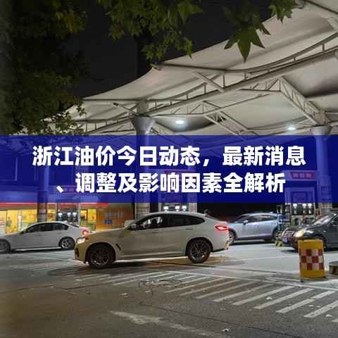 不求甚解 第3页