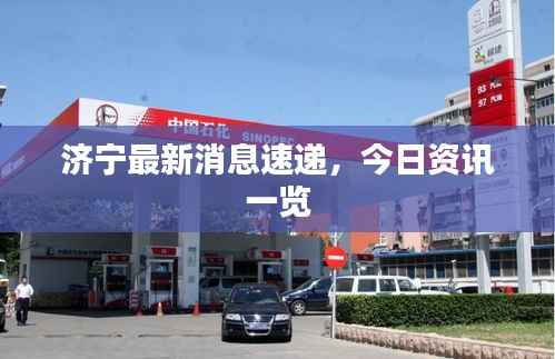 死得其所 第3页