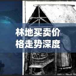 林地买卖价格走势深度解析