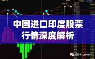 中国进口印度股票行情深度解析