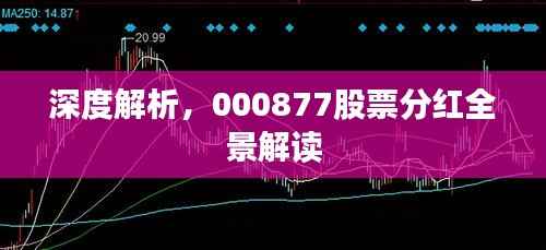 深度解析，000877股票分红全景解读