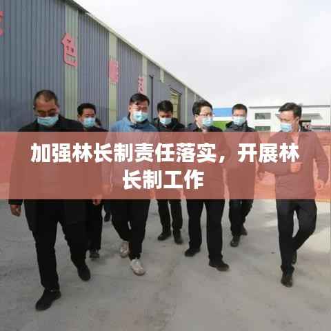 加强林长制责任落实,开展林长制工作