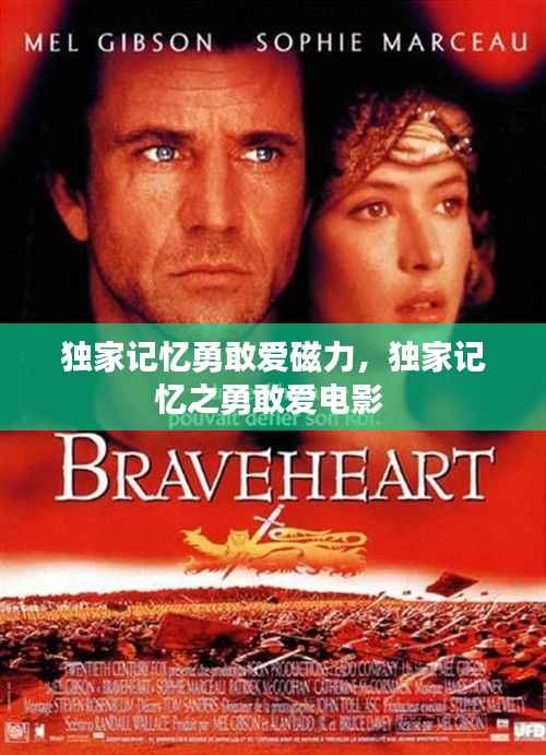 独家记忆勇敢爱磁力,独家记忆之勇敢爱电影