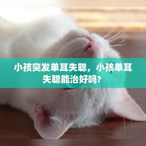 小孩突发单耳失聪,小孩单耳失聪能治好吗?