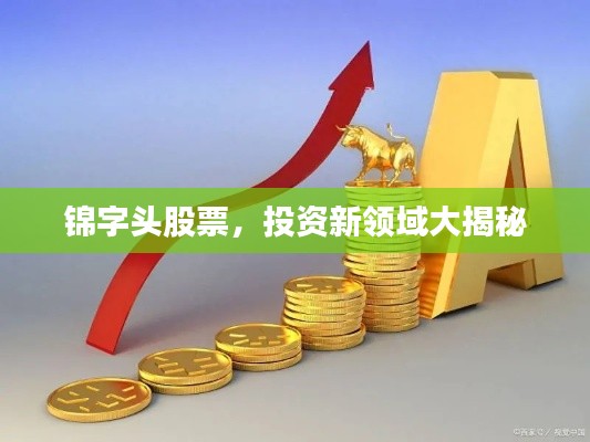 锦字头股票,投资新领域大揭秘