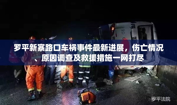罗平新寨路口车祸事件最新进展,伤亡情况、原因调查及救援措施一网打尽