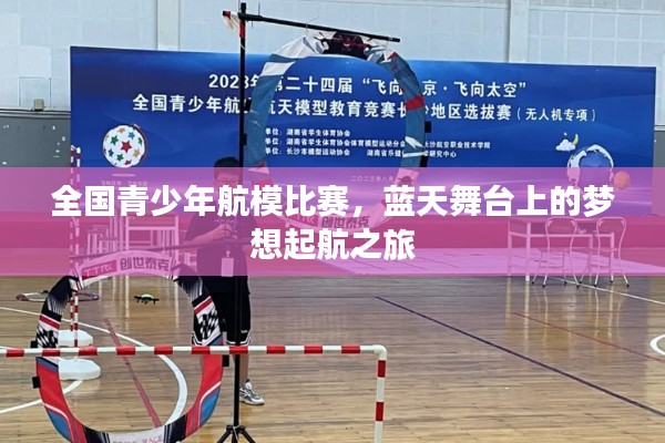 全国青少年航模比赛,蓝天舞台上的梦想起航之旅