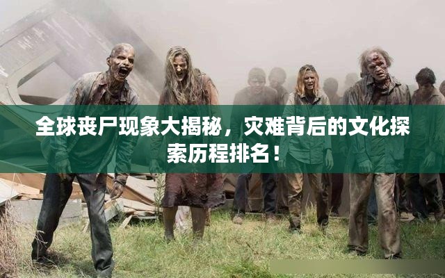 全球丧尸现象大揭秘,灾难背后的文化探索历程排名!