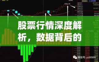 股票行情深度解析,数据背后的秘密揭秘