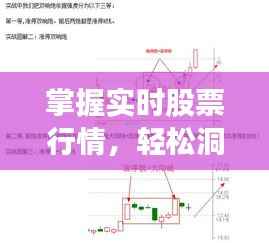 掌握实时股票行情，轻松洞悉股市动态！