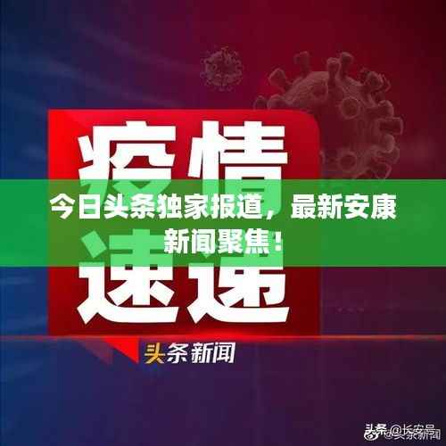 今日头条独家报道,最新安康新闻聚焦!