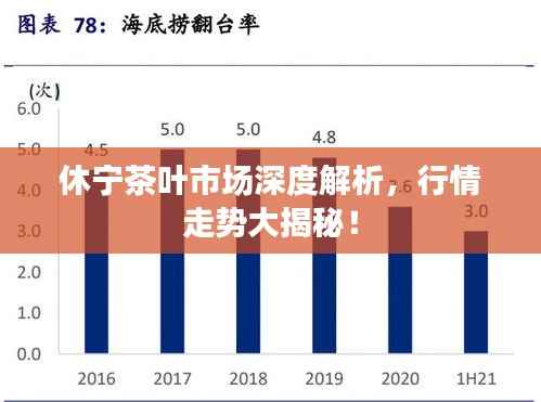 休宁茶叶市场深度解析,行情走势大揭秘!