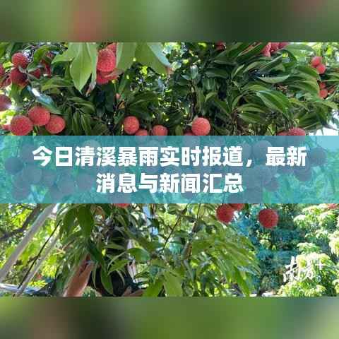 今日清溪暴雨实时报道,最新消息与新闻汇总