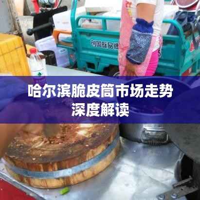 哈尔滨脆皮筒市场走势深度解读