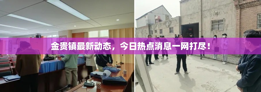 金贵镇最新动态,今日热点消息一网打尽!