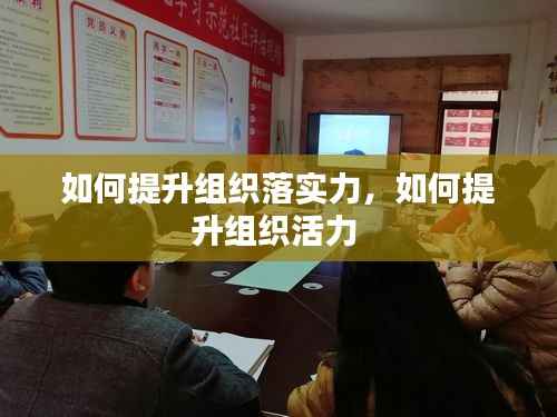 如何提升组织落实力,如何提升组织活力