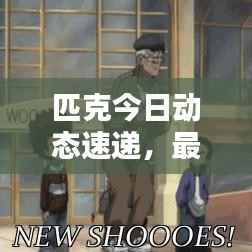 匹克今日动态速递,最新消息一览