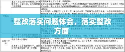 整改落实问题体会,落实整改方面