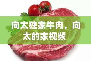 向太独家牛肉,向太的家视频